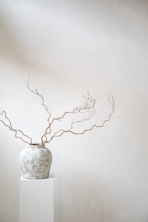 Aesthetic Versatile Concrete Studio