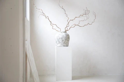 Aesthetic Versatile Concrete Studio
