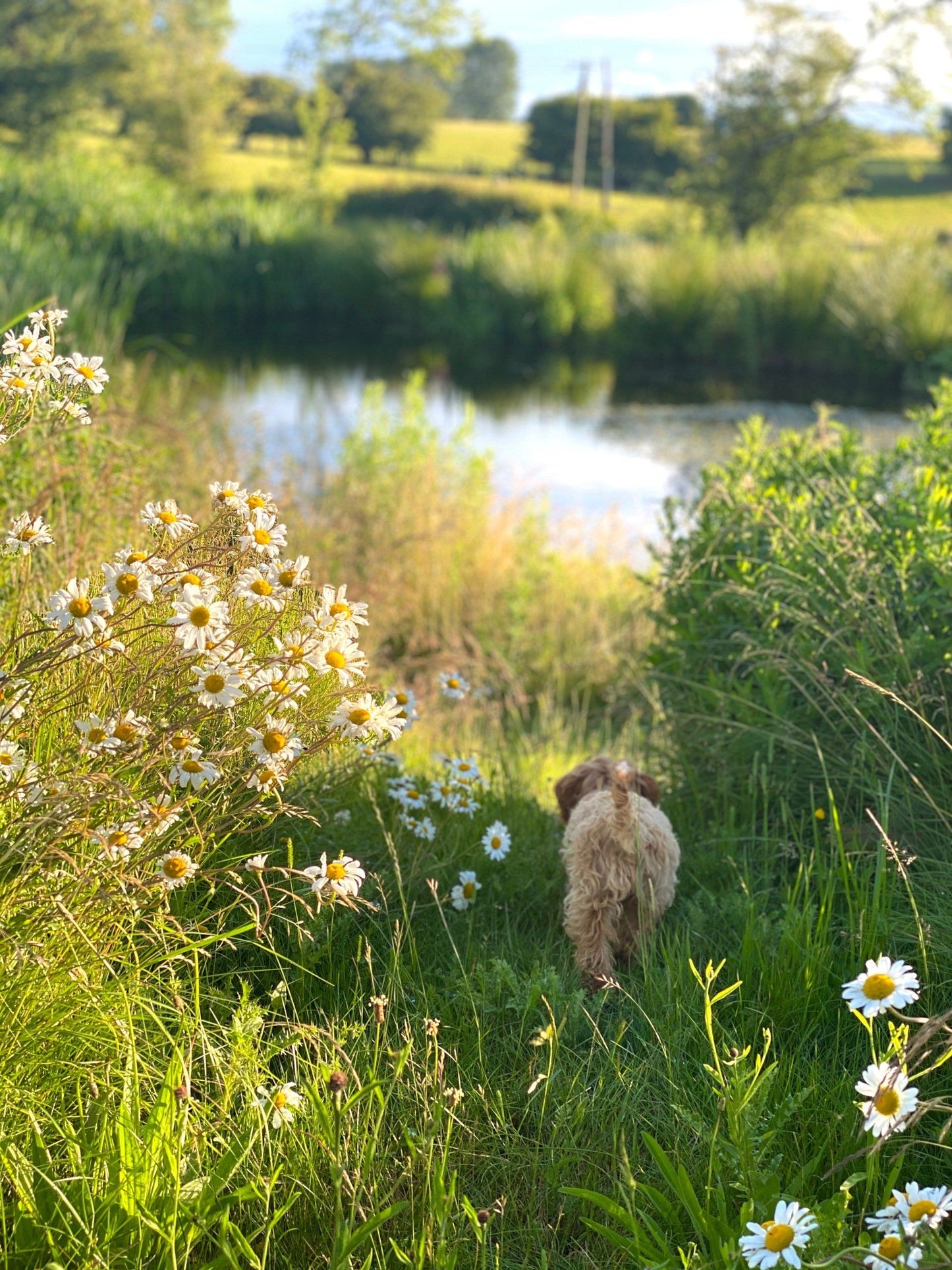 Picturesque Victorian Country Home