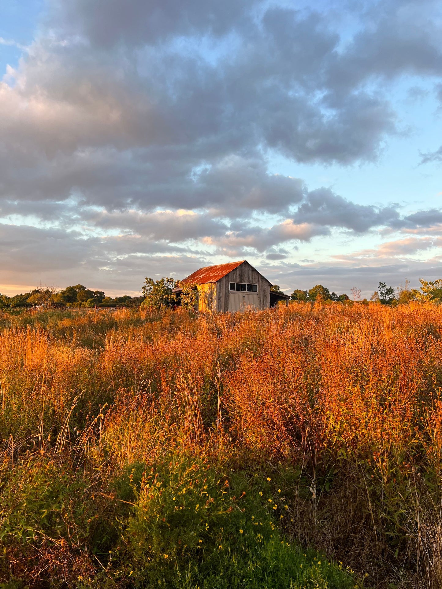 Picturesque Victorian Country Home
