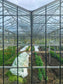Oxfordshire Greenhouse Gardens