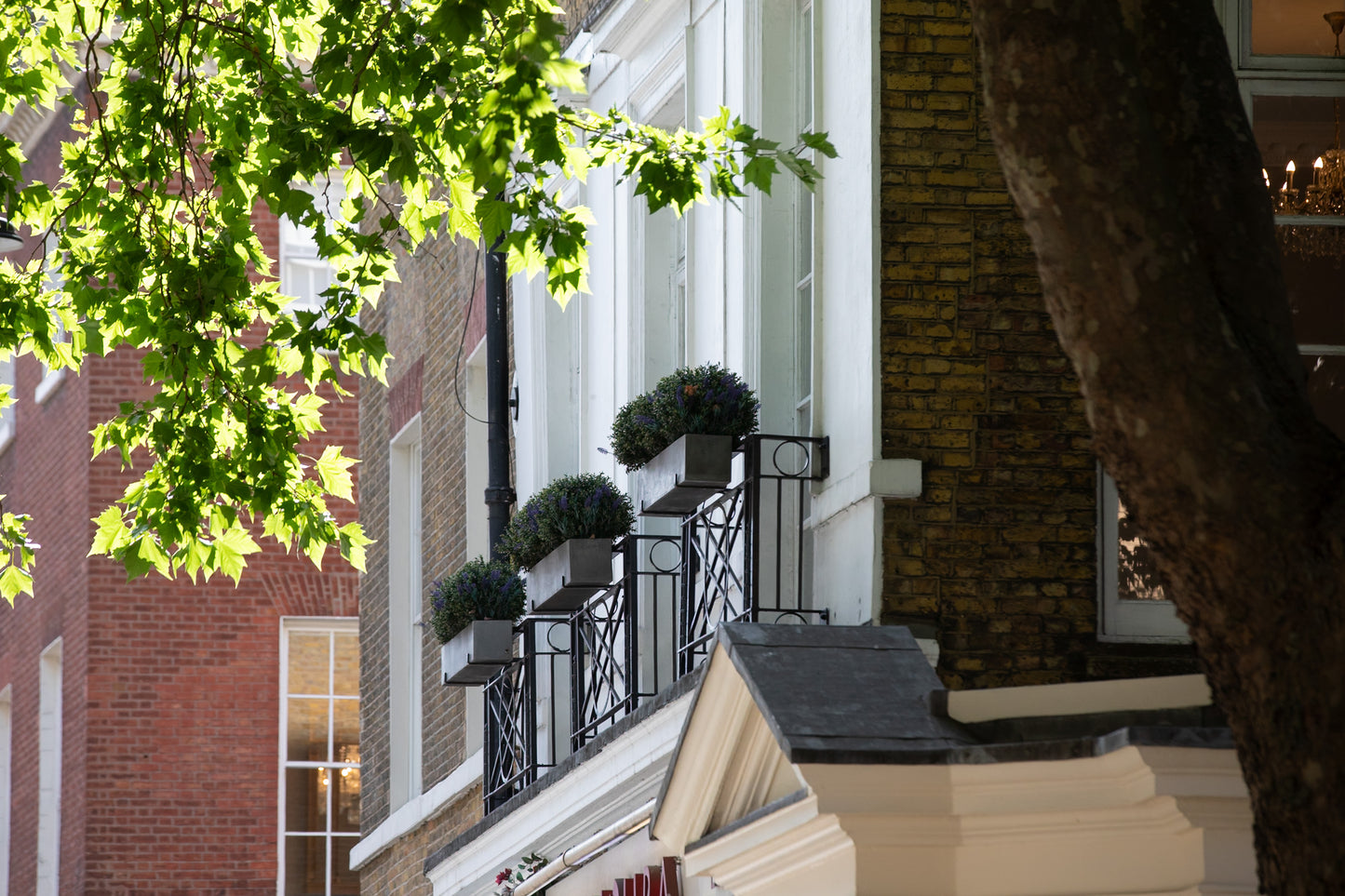 Grand Georgian Chandelier Room Mayfair