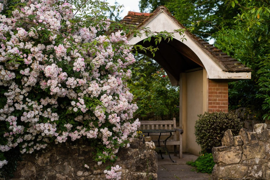 Elizabethan Tudor Estate Sussex