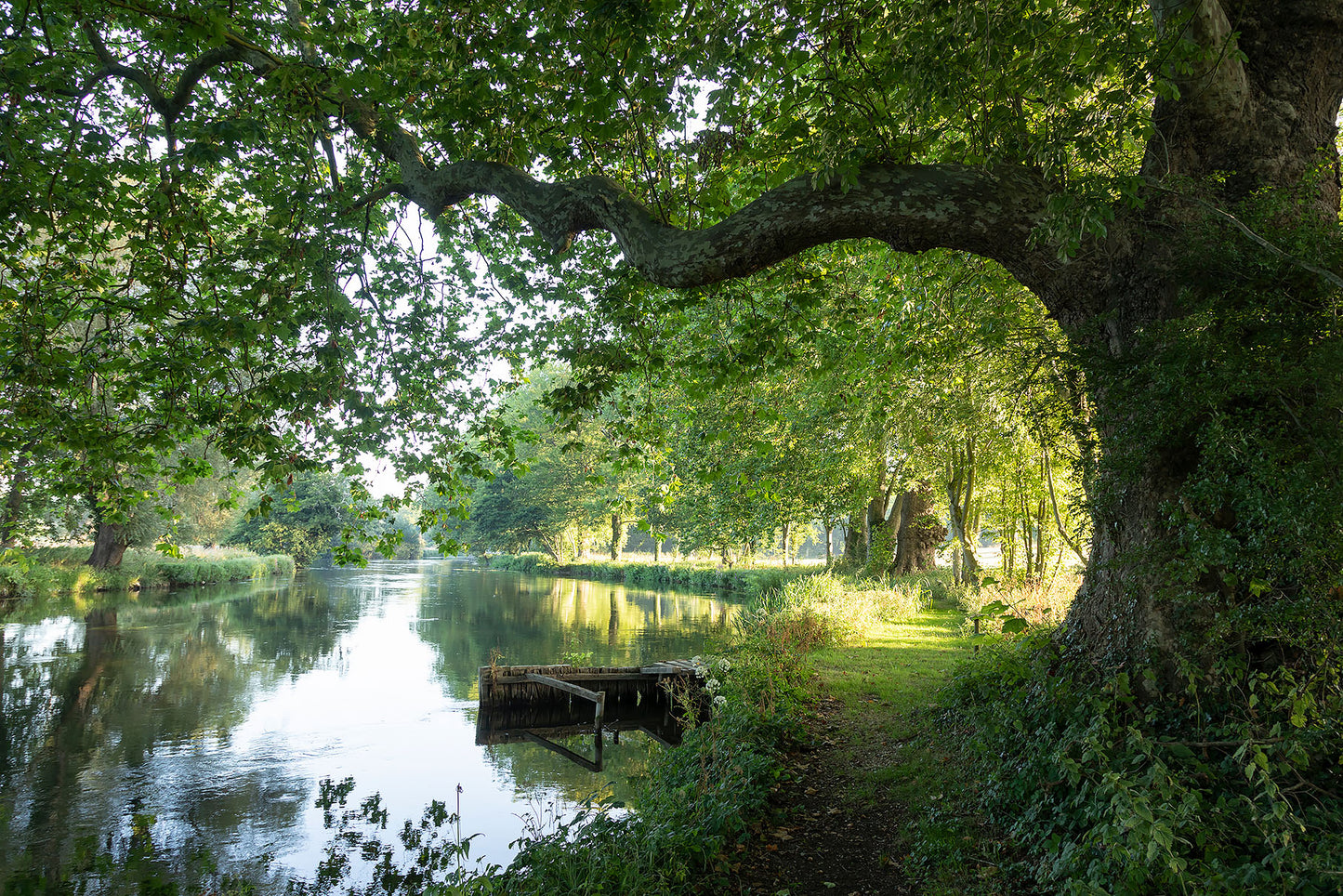 Country House Estate Grounds And Orangery