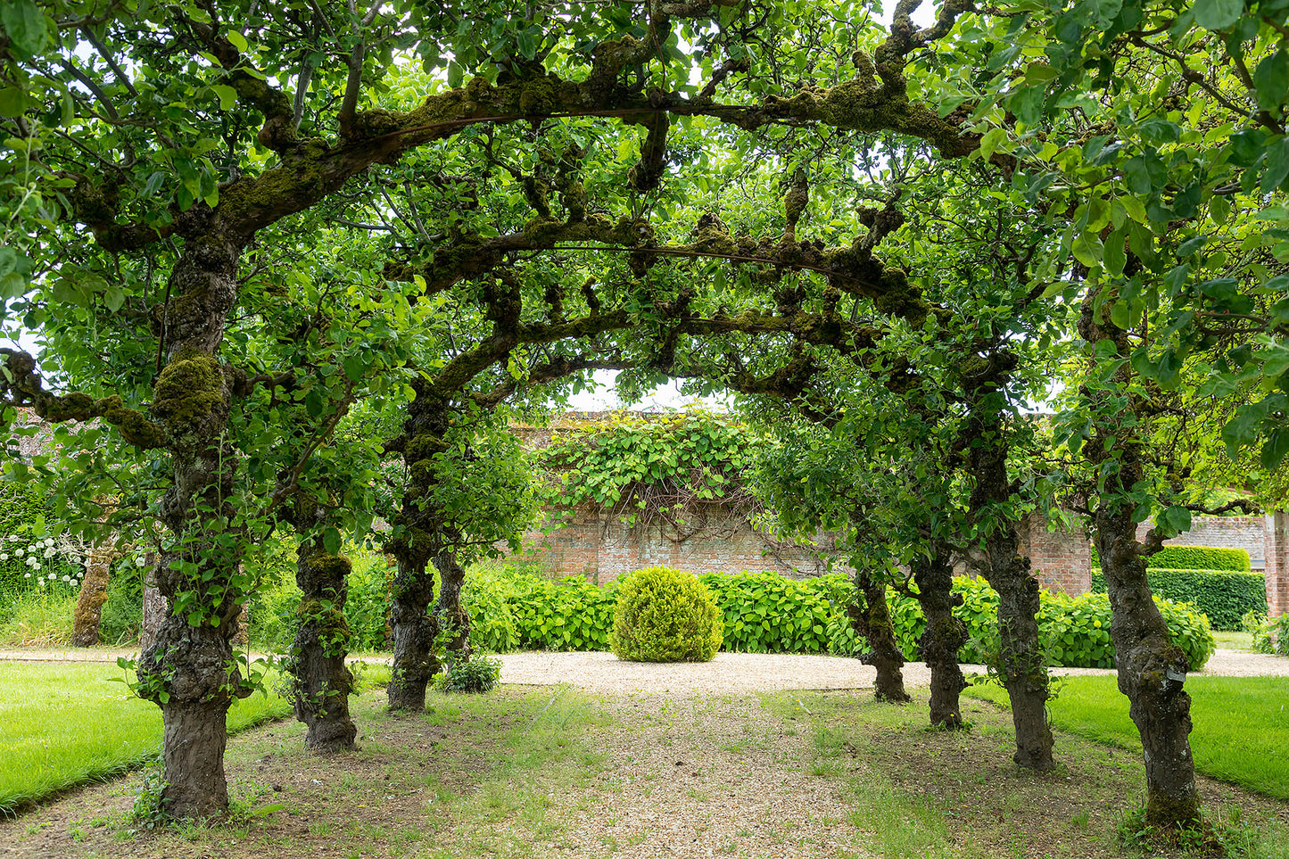 Country House Estate Grounds And Orangery